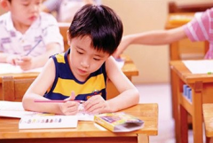 兒童綜合發(fā)展評價系統(tǒng)什么影響孩子學(xué)習(xí)